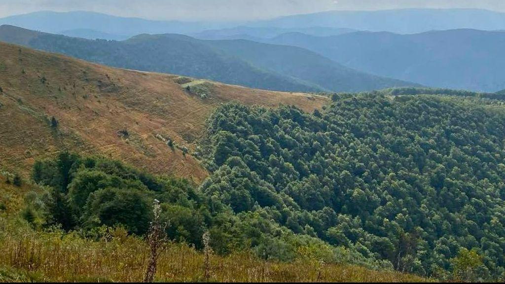 Презентація путівника «Взуваємо черевики!»